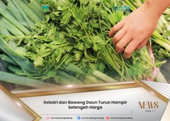 Harga Kebutuhan Bahan Pokok di Padang Panjang Turun