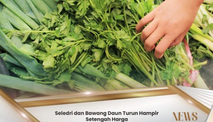 Harga Kebutuhan Bahan Pokok di Padang Panjang Turun