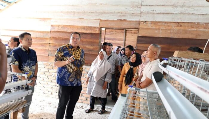 Jaenab Fresh Farm Eggs di Desa Rambai Pariaman Diresmikan