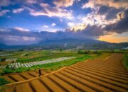 Warga Pandai Sikek Tolak Rencana Kehadiran Geothermal Tandikek–Singgalang.
