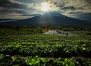 Pemprov Sumbar Janji Gelar Dialog Terbuka Jawab Kekhawatiran Warga Soal Geothermal Singgalang-Tandikek