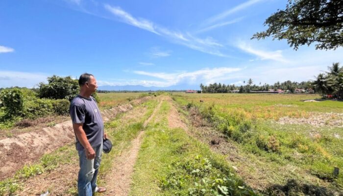 Ekonomi Petani Terdampak, Irigasi Anai 2 Tujuh Tahun Tak Juga Berfungsi