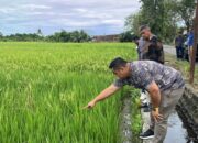 DPRD Pariaman Desak Pemerintah Pusat Tuntaskan Masalah Irigasi Anai 2