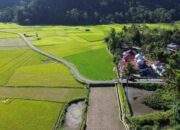 Program SPM di Agam Tunjukkan Hasil Positif