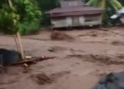 Banjir Bandang Nagekeo, 18 Desa Terisolir dan Operasi SAR 5 Warga yang Hilang Terus Dimaksimalkan