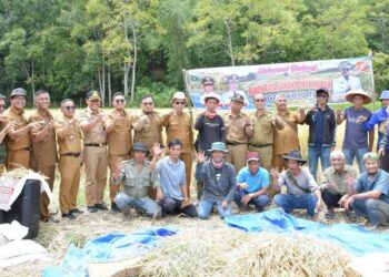 Bupati Agam Dukung Peningkatan Produksi Padi di IV Koto