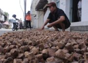 Rencana Hilirisasi Gambir Sumbar Dikebut, Tim Percepatan Dibentuk