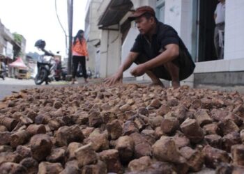 Rencana Hilirisasi Gambir Sumbar Dikebut, Tim Percepatan Dibentuk