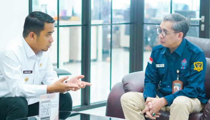 Penyesuaian Jabatan Pascaperubahan SOTK, Wako Solok Sambangi BKN