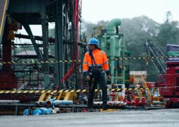 Harapan Baru Itu Bernama Ekonomi Hijau