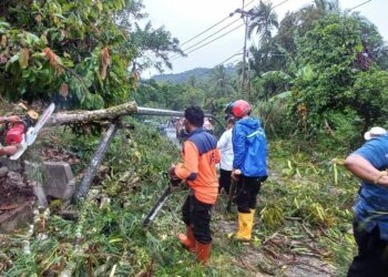 Hujan Lebat Disertai Angin Kencang, Sejumlah Rumah Rusak dan Pohon Tumbang di Kecamatan Barangin Sawahlunto