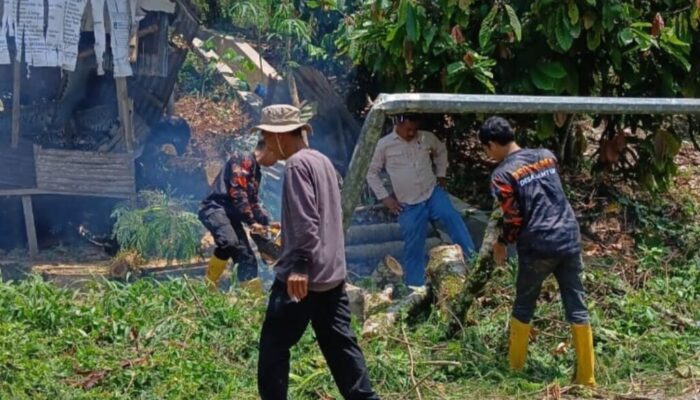Destana Desa Santur Sawahlunto Lanjutkan Pembersihan Usai Pohon Tumbang