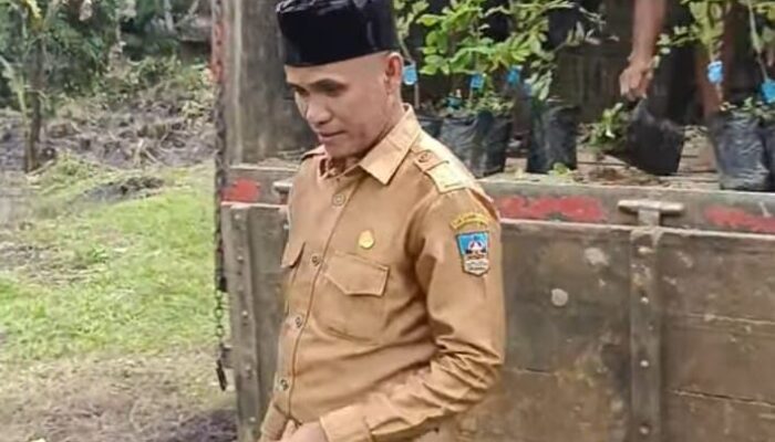 Nagari Tabek Terima Bantuan Bibit dari Dinas Kehutanan Sumbar