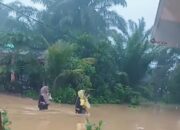 Puluhan Rumah Warga di Pessel Terendam Banjir, BPBD: Kondisi Sudah Terkendali