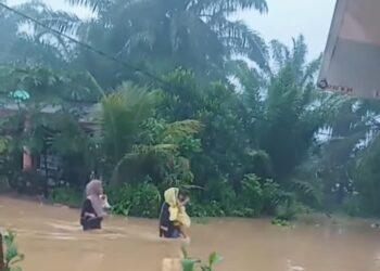 Puluhan Rumah Warga di Pessel Terendam Banjir, BPBD: Kondisi Sudah Terkendali