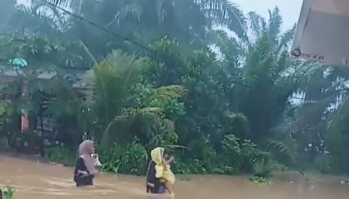 Puluhan Rumah Warga di Pessel Terendam Banjir, BPBD: Kondisi Sudah Terkendali