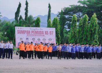 Klarifikasi Pemkab Dharmasraya Terkait Isu Dugaan Pelecehan Marwah PWI Saat Upacara Sumpah Pemuda