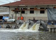 BNPB Bentuk Satgas Khusus Pompanisasi Banjir Kota Semarang dan Jawa Tengah