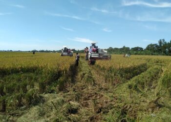 Wako Hendri Arnis Resmikan Gudang Pangan di Padang Panjang