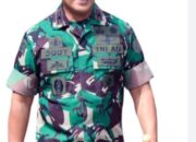 Pintu Masuk Bagi Illegal Logging, PHAT Tanpa Amdal Ancam Keberlangsungan Hutan Mentawai