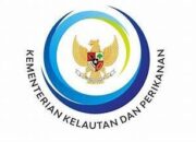 KKP Minta Tambahan Kuota Penangkapan Tuna Sirip Biru untuk Indonesia