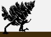 Perempuan di Padang Ganting Tewas Tertimpa Pohon Saat Bekerja di Kebun