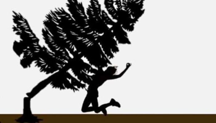 Perempuan di Padang Ganting Tewas Tertimpa Pohon Saat Bekerja di Kebun