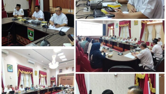 Sumbar Matangkan Langkah Jadi Sentra Hilirisasi Produk Gambir Nasional