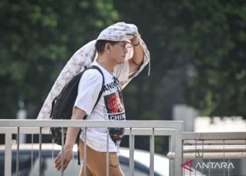 Cuaca Panas, Ini Tips Menjaga Kesehatan