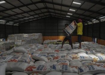 1,45 Juta Ton Beras Numpuk di Gudang Bulog, 29 Ribu Ton Turun Mutu