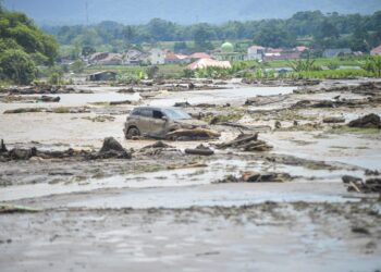 Banjir Bandang dan Galodo Hantam Keras Peternak Sumbar: 4.420 Unggas dan Ratusan Ternak Besar Tewas