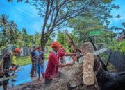 Bencana Hidrometeorologi Landa Padang, Warga dan Nelayan Diimbau Waspada