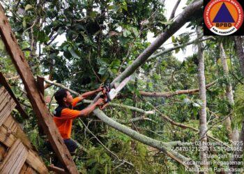 Perkembangan Situasi dan Penanganan Bencana di Tanah Air pada 4 November 2025
