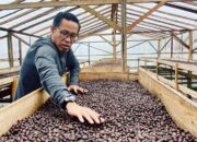 “Anak Daro” Diklaim Kopi Kerinci Jambi oleh Roemah Koffie, Potensi Pencaplokan Budaya Minang Picu Kontroversi