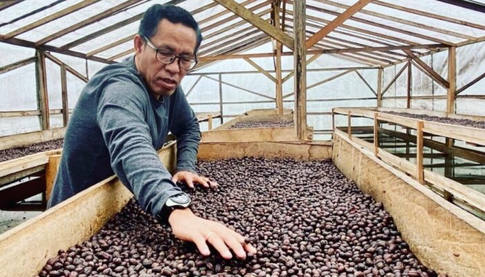 “Anak Daro” Diklaim Kopi Kerinci Jambi oleh Roemah Koffie, Potensi Pencaplokan Budaya Minang Picu Kontroversi