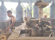 Harga Nilam Naik Tipis, Petani Mulai Semangat 