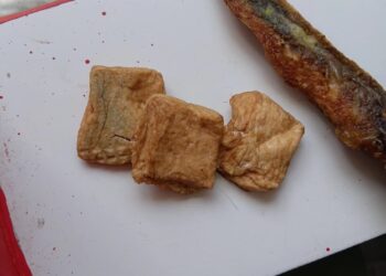 MBG di Dharmasraya Berisi Makanan yang Sudah Berjamur