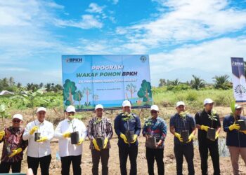 UM Sumatera Barat Bekerja Sama dengan BPKH Tanam 100 Pohon dalam Program Wakaf Pohon
