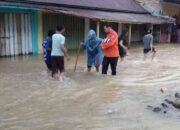 Hujan Deras tak Berhenti, Banjir Menerjang Kabupaten Padang Pariaman