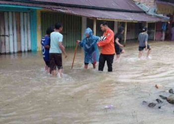 Hujan Deras tak Berhenti, Banjir Menerjang Kabupaten Padang Pariaman