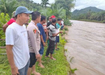 Lansia di Lengayang Pessel Hanyut saat Menyeberang Sungai Deras, Tim Gabungan Lakukan Pencarian