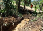 Longsor Banjarnegara: Hari Ini Operasi SAR Terakhir, Lokasi Pencarian Difokuskan di Sektor C