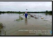 Sebanyak 121 Hektare Sawah di Pasbar Terdampak Banjir dan Longsor