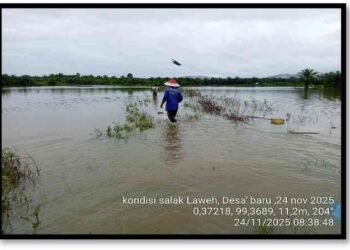 Sebanyak 121 Hektare Sawah di Pasbar Terdampak Banjir dan Longsor