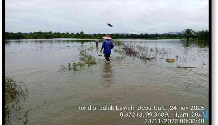 Sebanyak 121 Hektare Sawah di Pasbar Terdampak Banjir dan Longsor