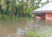 Cuaca Ekstrem, Berbagai Bencana Terjadi di Kota Pariaman