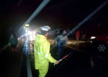 Arus Lalu Lintas di Gerbang Masuk Padang Panjang Kembali Lancar Usai Evakuasi Pohon Tumbang