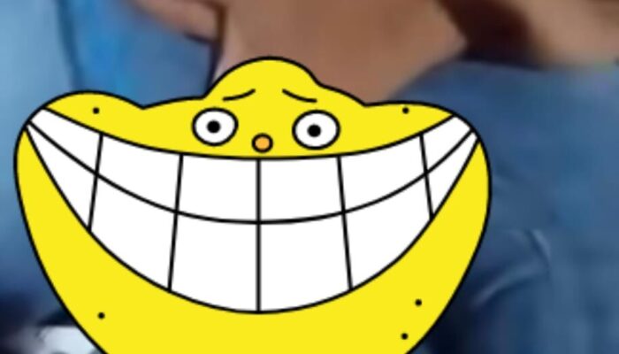 Viral, Aksi Cabul Terekam Jelas di Tempat Hiburan Saluang Dangdut, Satpol PP Turun Tangan