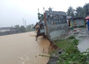 Sungai Batang Anai Kembali Makan Korban, Warga Butuh Bantuan