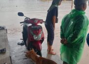 Ribuan Warga Terdampak Bencana Hidrometeorologi di Kabupaten Solok, Evakuasi Masih Berlangsung